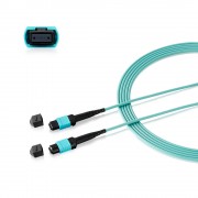 Zyxel MPO-10M MPO-10M-ZZ0101F сетевое оборудование